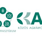 AM: Célzott támogatások ösztönzik a talajkímélő gazdálkodást és a szakmai kutatásokat 
