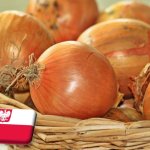 Lengyelország: esőzések hátráltatták a hagyma betakarítását