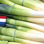 Hollandia: esőzések miatt akadozik a póréhagyma betakarítása