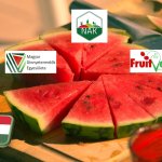 NAK-MDE-FruitVeB: a 2024-es dinnyeszezon értékelése – milyen jövőre számíthatunk