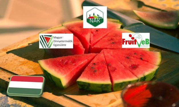 Korábban indult a dinnyeszezon: júliusban már minden áruházláncban kapható lesz a magyar görögdinnye