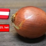 Ausztria: június közepén felgyorsult a hagyma betakarítása