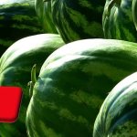 Törökország: óriási segítség az Európa-bajnokság a dinnyeágazatnak
