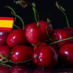 Spanyolország: esőzések miatt reped a betakarítás előtt álló cseresznye