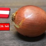 Ausztria: június közepén már számottevő mennyiségben jelent meg az új hagyma a piacokon