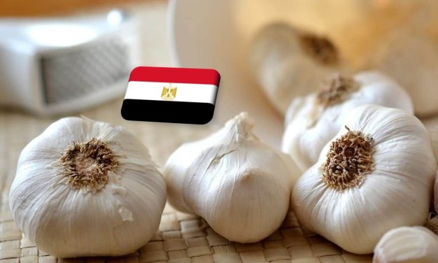 Egyiptom: óriási drágulás a fokhagyma piacán