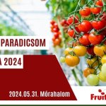 Beszámoló a Magyar Paradicsom Napja 2024 rendezvényről (képekkel és videóval)