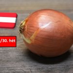 Ausztria: csendes kereslet, csökkenő árak a hagyma piacán