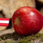 Ausztria: óriási pusztítást végeztek a tavaszi fagyok az almaültetvényekben