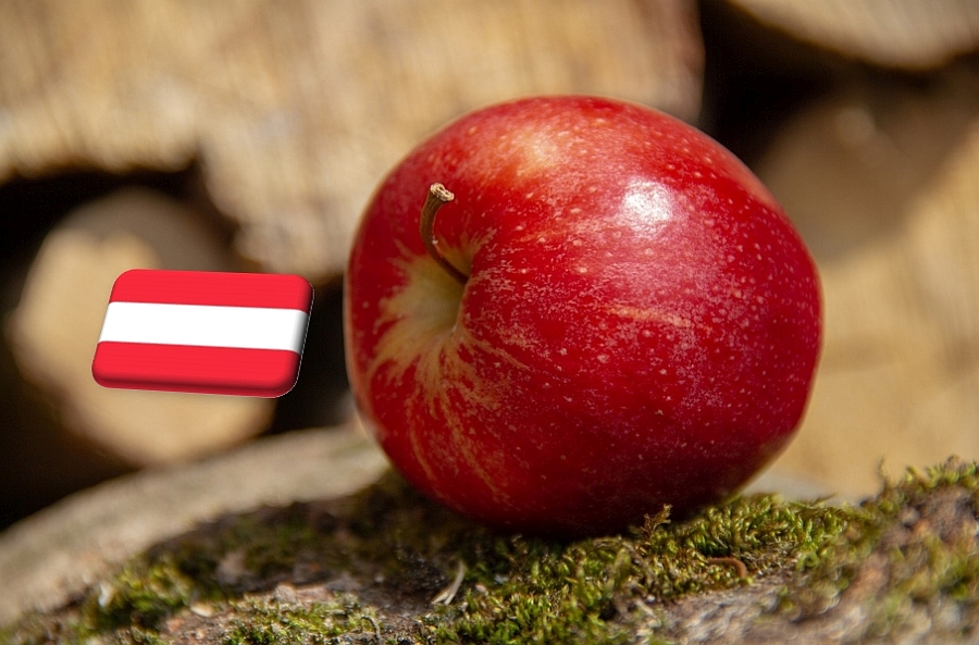Ausztria: óriási pusztítást végeztek a tavaszi fagyok az almaültetvényekben