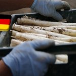 Németország: megérkezett a piacra a legkorábbi pfalzi spárga 