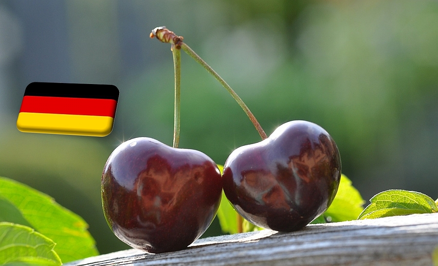 Németország: 4,4%-kal több cseresznye teremhet a tavalyinál