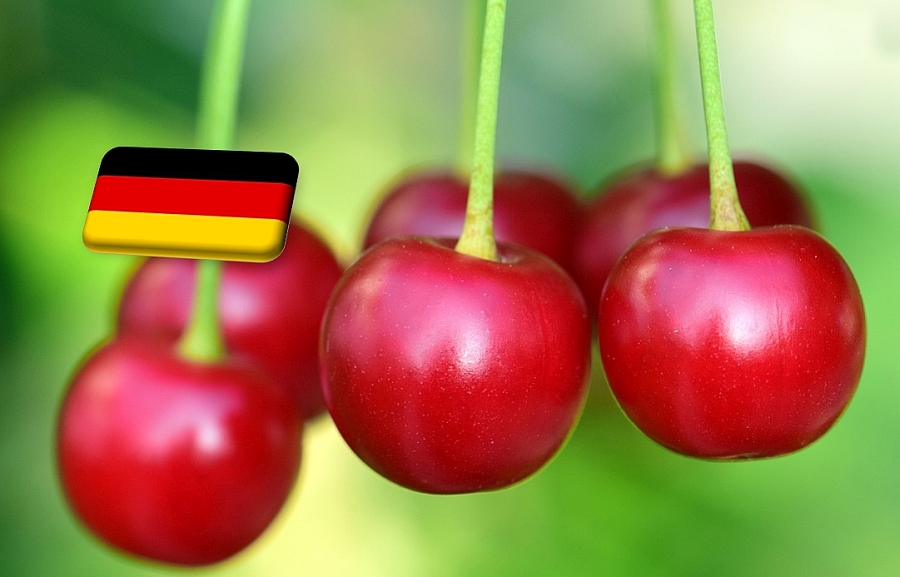 Németország: a tavalyinál 6,2%-kal kisebb meggytermés várható
