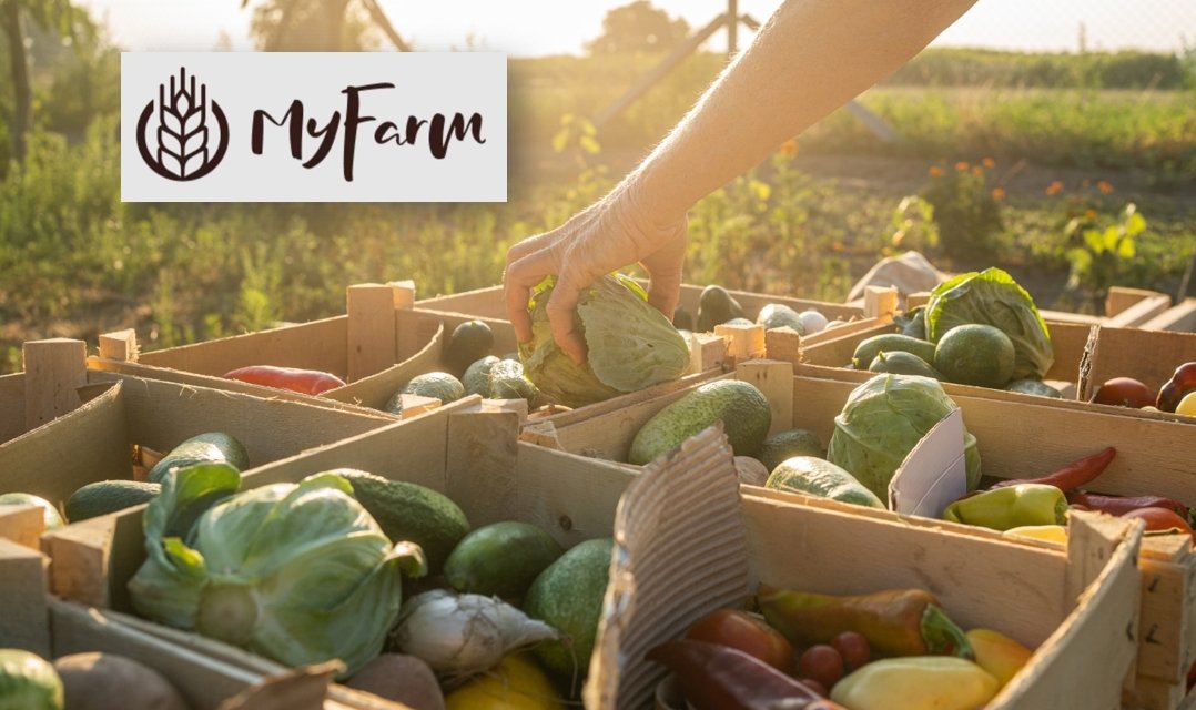 MyFarm: a jövő közösségi kertmodellje Magyarországon (x)