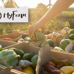 MyFarm: a jövő közösségi kertmodellje Magyarországon (x)