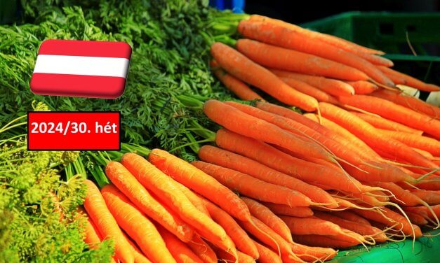Ausztria: a 30. héten átmenetileg stagnált a sárgarépa ára