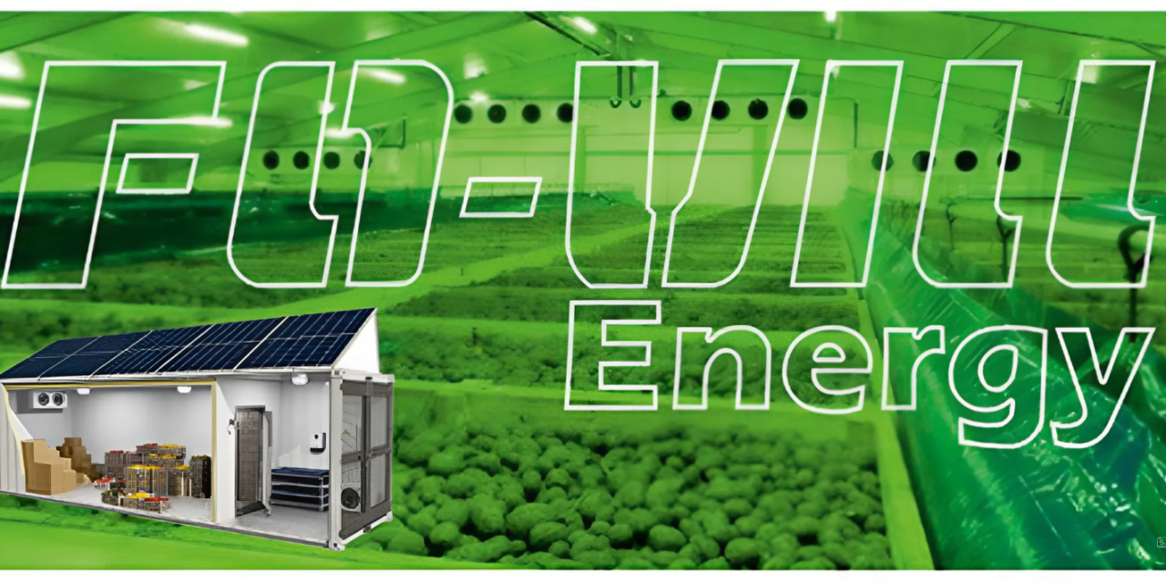 FO-VIll Energy Kft.: hűtés- és klímatechnika az agráriumban (x)