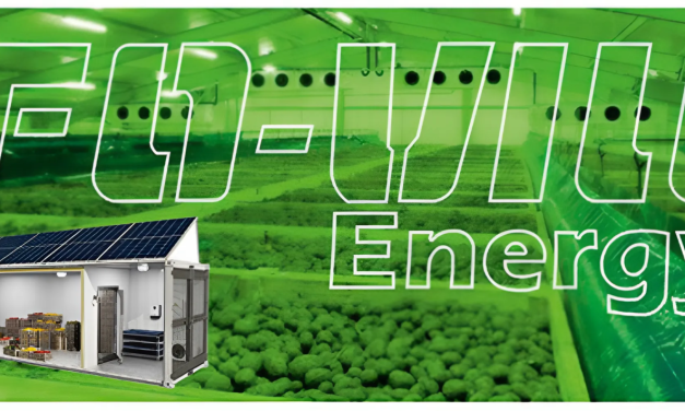 FO-VIll Energy Kft.: hűtés- és klímatechnika az agráriumban (x)