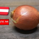 Ausztria: folytatódik az árstabilizáció a hagyma piacán