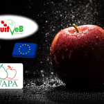 Alma: 2024. évi termés- és piaci prognózis