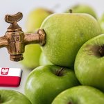 Lengyelország: magas árakkal a végéhez közeledik az almaszüret 