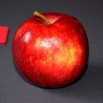 Franciaország: lefelé módosították az almaprognózis számait