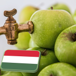 Ipari alma felvásárlási árak – 2024. augusztus 26.
