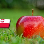 Lengyelország: olcsóbb a Gala alma mint tavaly, mi ennek az oka?
