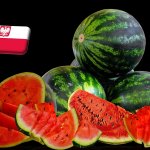 Lengyelország: magas árakkal kezdi a szeptembert a dinnyepiac