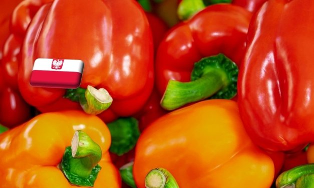 Lengyelország: szeptemberben jelentősen drágult a hajtatott paprika a nagybani piacokon 