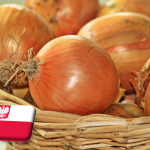 Lengyelország: súlyos helyzetben a lengyel hagymatermesztők 