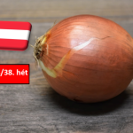 Ausztria: az esőzések miatt szünetel a hagyma betakarítása