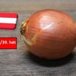 Ausztria: újraindult a hagyma betakarítása, de további esők várhatók