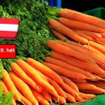 Ausztria: a hűvösebb időjárás növelte a sárgarépa iránti keresletet