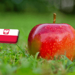Lengyelország: már most drágább a Gala a tavalyi árszintnél  