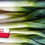 Lengyelország: októberben is folytatódik a póréhagyma áresése 