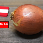 Ausztria: a karácsonyi ünnepkör adhat lökést a hagymapiacnak 
