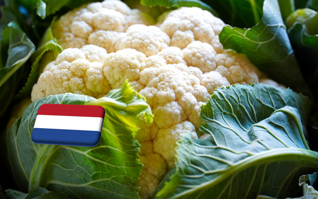 Hollandia: november végén ér véget a belföldi karfiolszezon 