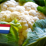 Hollandia: november végén ér véget a belföldi karfiolszezon 