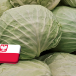 Lengyelország: történelmi magasságban a káposzta ára 