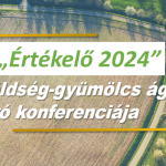 ’’Értékelő 2024’’ (december 12., Kecskemét)