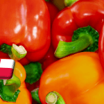 Lengyelország: drága volt és drága is marad idén az import paprika 