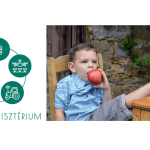 AM: Átalakul az iskolagyümölcs- és iskolazöldség-program 