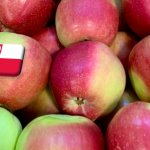 Lengyelország: májusban lőttek ki igazán az almaárak 