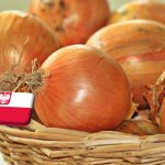 Lengyelország: alacsony árszinttel lépett át a hagyma az újévbe 