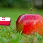 Lengyelország: továbbra is a Gala a legdrágább alma a nagybani piacokon 