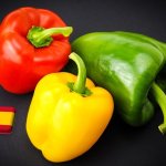 Spanyolország: Almeríából Murciába helyeződik át a paprikaszezon súlypontja 