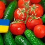 Ukrajna: a nyugati régiókban bővül a zöldségtermesztő terület
