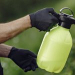 Nébih: módosult a termésnövelő anyagokról szóló rendelet  