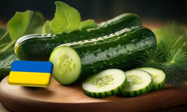 Ukrajna: a kereslet mérséklődése miatt csökkent a kígyóuborka ára 